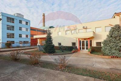 Spațiu industrial, de 500 mp, în Vest - 22