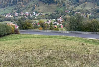 Teren extravilan cu priveliste catre Bucegi – Moieciu de Jos 4.700 mp - 10