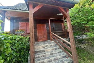 Casa - Vila Rustica - Casa de locuit sau Pensiune - 9