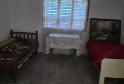 Casa si teren de vanzare Localitatea Hotar - Comuna Tetchea - 8