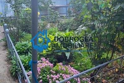 Casă individuală cu 3 camere cu Teren 1426 Mp în Mineri - 6