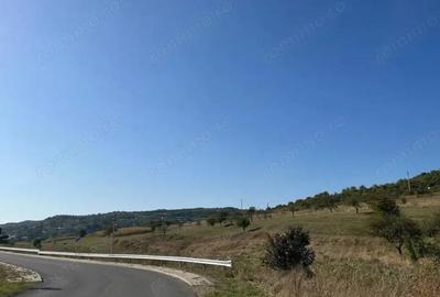 Teren de vanzare 11.400 mp, str. Podgorenilor, Dej - 2