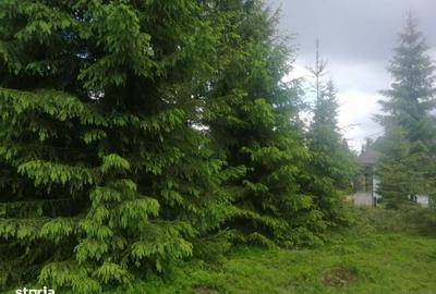 Spațiu comercial, în Beliș - 6