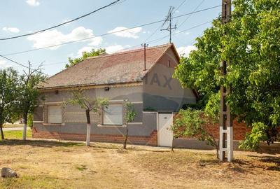 Casa solida cu 4 camere, demisol ?i garaj Pecica - 14