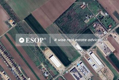 Teren Industrial, 18.000mp, Magurele, Str. Bucuresti-ID 15464 - 5