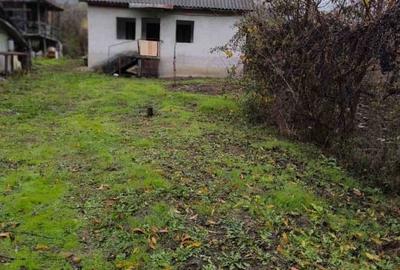 Casă în sat Ursoaia, com. Peșceana, jud. Vâlcea - 12