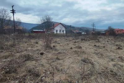 Spațiu comercial, în Cheia - 3