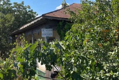 Vand Casa cu curte in Baraganul, judet Braila - 1