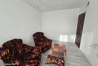 Apartament cu 2 camere decomandat în Remetea Mare - 4