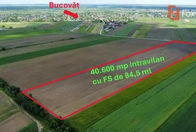 Teren de 40600 mp, în Bucovăț (Remetea Mare)