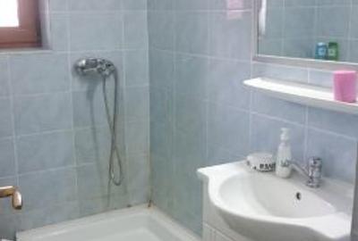 Spatiu comercial Salaj comuna Surduc - 7