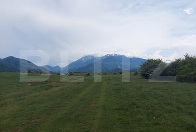 Teren de vanzare in Rasnov zona Glejerie, 10.000 mp