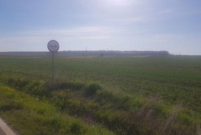 Teren intravilan arabil 55.400 m.p. Vasilati, Jud. Calarasi - 6