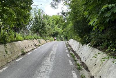 Casă cu 4 camere cu Teren 9800 Mp în Măgura - 2