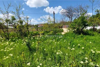 In rate, teren 509 mp, com. Vernesti-sat Carlomanesti - 10