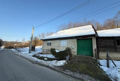 Casă cu 2 camere în Târnova - 10