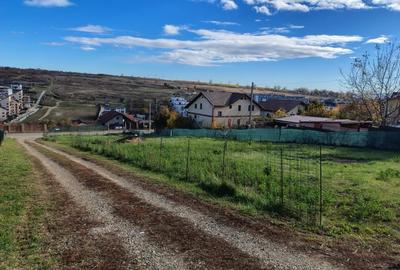 Teren intravilan 1679 mp, in intravilanul localitatii Valea Lupului. - 1