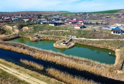 Teren spectaculos în Delta Dunării – ideal pentru complex turistic - 4
