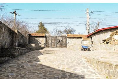 Ocazie unica de investitie, vila de lux in Balotesti - 10