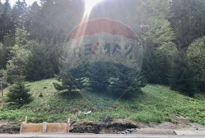 Teren Construcții intravilan de 1105 mp, în Malul Ursului - 2