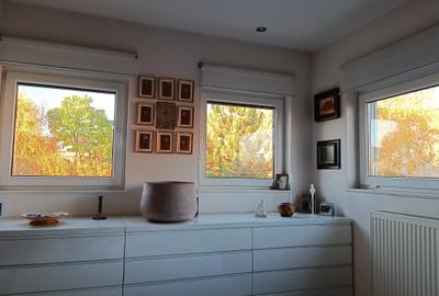 Vanzare vila deosebita mobilata si utilata Corbeanca - 38