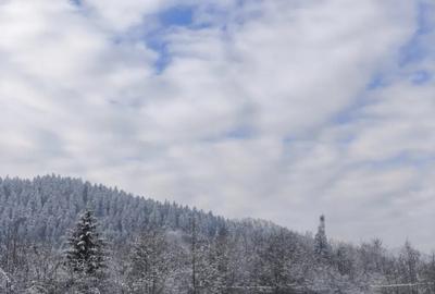 Teren de 22600 mp, în Sucevița
