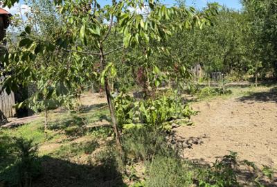 Casa cu teren 1000 m Drajna - 11