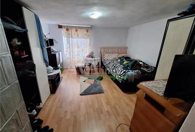 Proprietate ideala pentru familie extinsa sau investitie Serbanesti, Bacau - 6