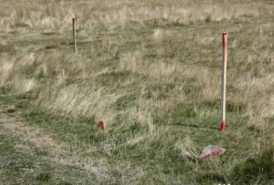 Teren de 1500 mp, în Paltin - 4