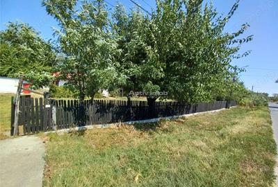 Casă cu 3 camere cu Teren 4658 Mp în Ghimpați - 6