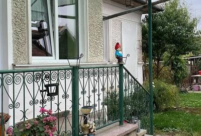 Casă cu 2 camere în Luduș - 1