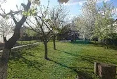 Casa cu teren generos, 2 construc?ii separate ideala pentru familie sau investitie - 4