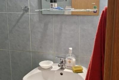 Garsonieră decomandată, mobilată în Zorilor - 9