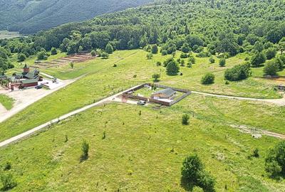 Teren Construcții intravilan de 5500 mp, în Cristian - 30