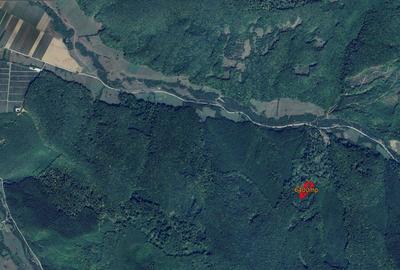 Teren de 6400 mp, în Budila - 2