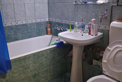 Apartament cu 3 camere nedecomandat în Moșilor - 5