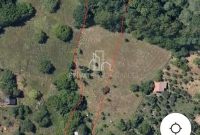 Casă individuală cu 2 camere cu Teren 3080 Mp în Nord - 22