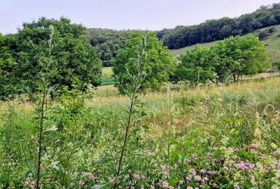 Spațiu comercial, în Moldovenești - 4