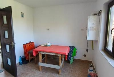 Casa P+M la gri de vanzare - Rasova, comuna Balesti - 3