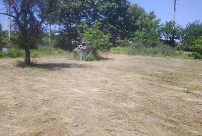 Teren de 4000 mp, în Copăceni - 1