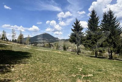 Teren de 8450 mp, în Central - 7