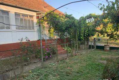 Casă cu 3 camere cu Teren 1200 Mp în Sânger - 3