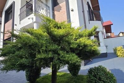 Casă individuală cu 4 camere în Berceni