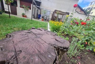 Poveste saseasca la umbra vitei de vie, cu crama si gradina cu flori, Central Co - 32