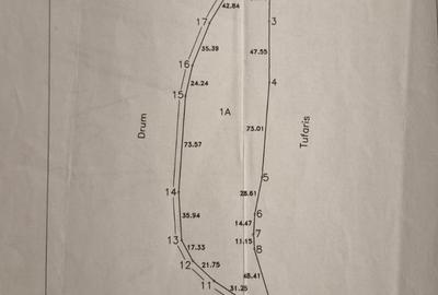 Spațiu comercial, în Tâncăbești - 2
