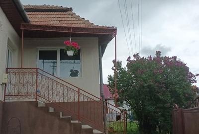 Casă cu 3 camere în Agriș - 6