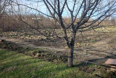 Teren de 1652 mp, în Gheorghe Lazăr - 2