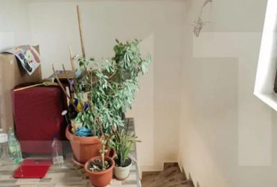 Casă cu 4 camere cu Teren 356 Mp în Central