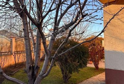 Casă cu 4 camere cu Teren 355 Mp în Blejoi - 12