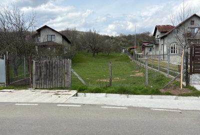 Teren de 9140 mp, în Aninoasa - 8